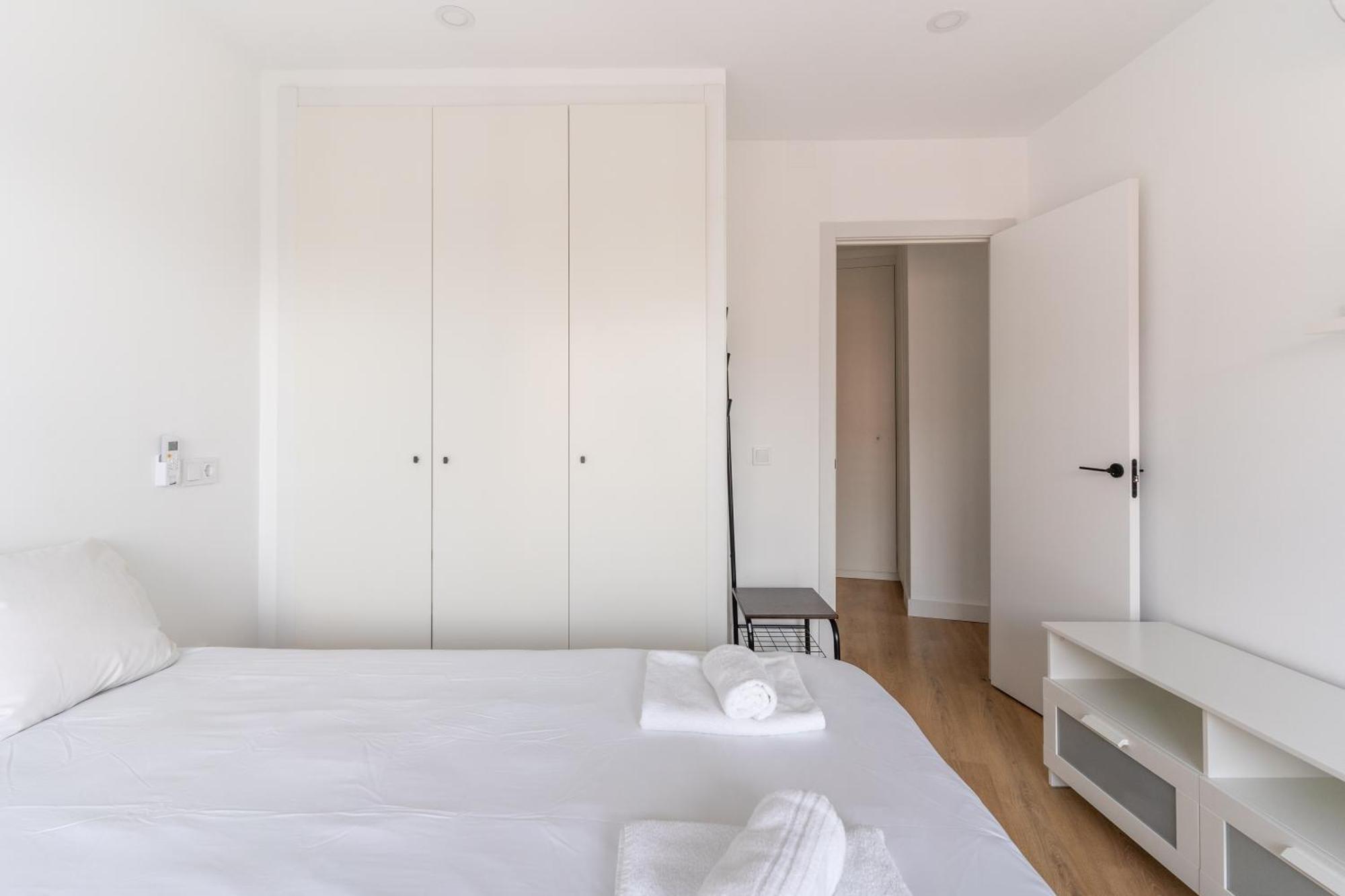 Apartment Bright With Terrace- 2bd 2bth- Salamanca Madrid